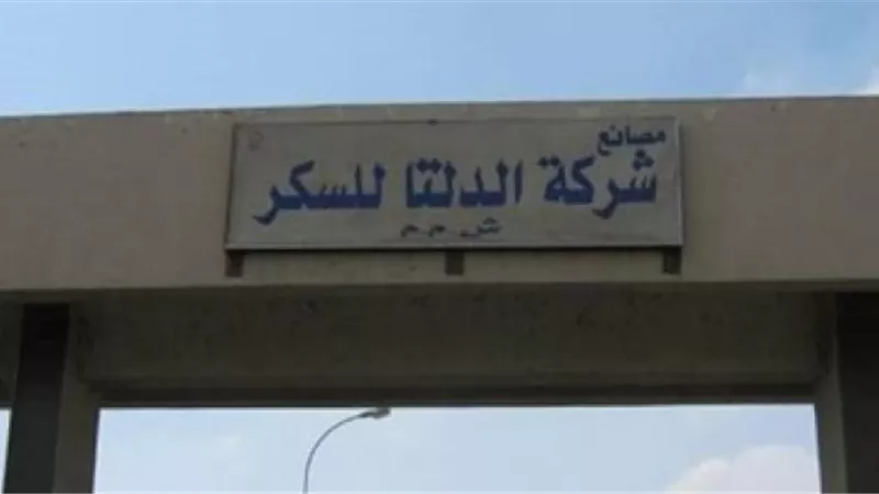 الدلتا للسكر تتعاقد على زراعة 120 ألف فدان بنجر سكر خلال العام الجارى