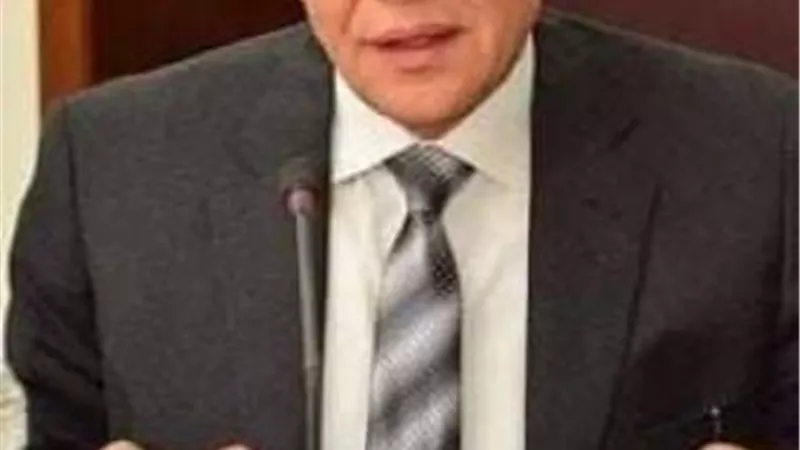 صور صادمة.. ضبط 3 طن لحوم مجمدة ومفروم دواجن فاسدة بإمبابة والهرم