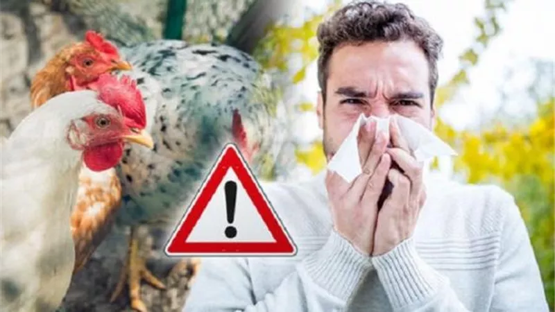 كورونا أرحم .. تسجيل أول حالة إصابة بشرية بأنفلونزا الطيور
