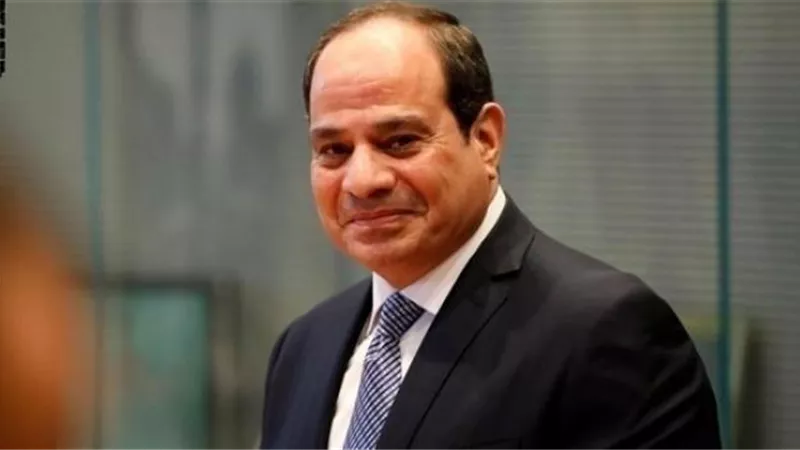 الرئيس يوافق على انضمام مصر للاتفاقية الجمركية للنقل الدولي للبضائع