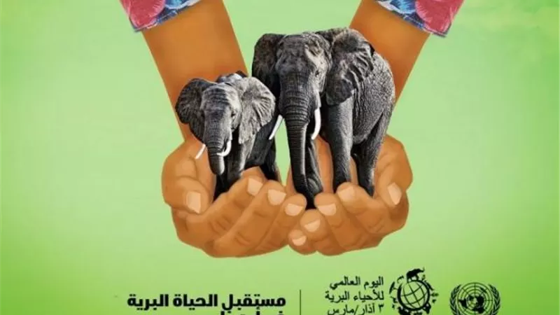 مصر تشارك العالم الاحتفال باليوم العالمى للحياة البرية على منصات السوشيال ميديا