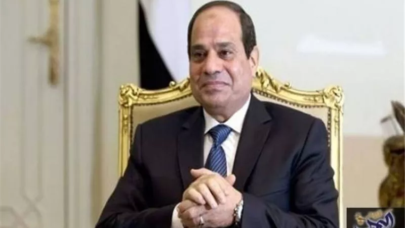 لدعم التعاون المشترك .. السيسي وحمدوك يبحثان مشروعي الربط الكهربائي والسكة الحديد