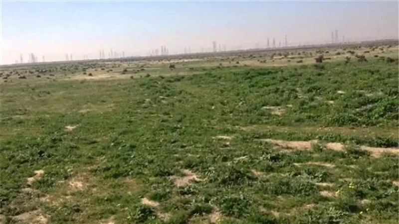 مهلة أخيرة.. الحكومة تحذر ملاك أراضى الحزام الأخضر بأكتوبر