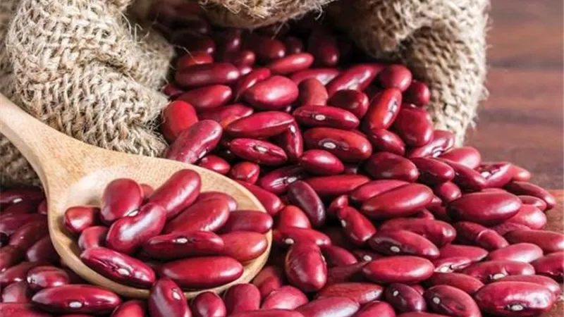 الفاصوليا الحمراء.. الحل السحري للوقاية من هذه الأمراض