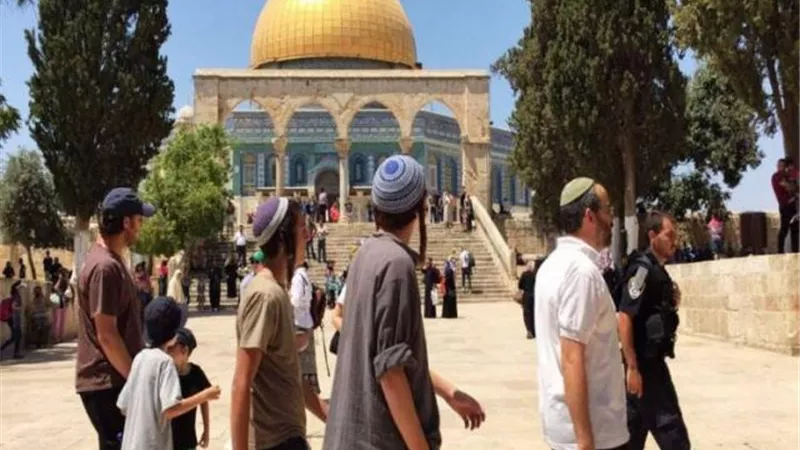 تفاصيل اقتحام 89 مستوطنًا باحات المسجد الأقصى بحماية من شرطة الاحتلال