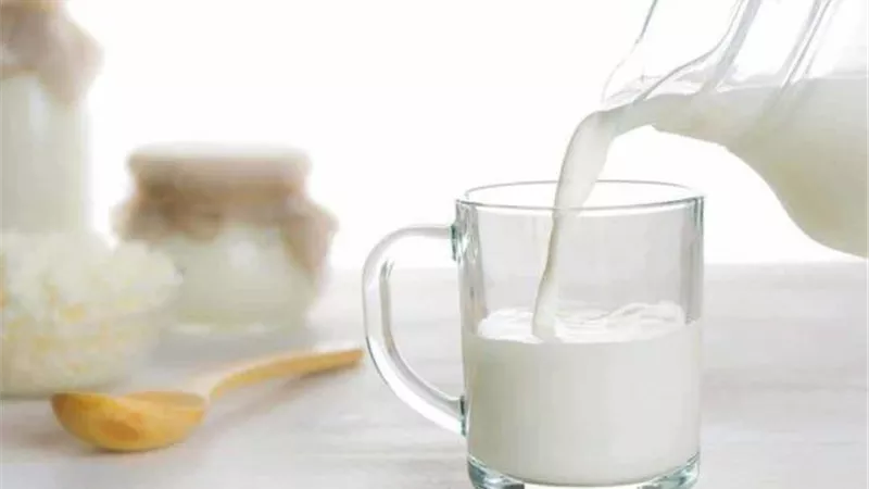 متى يكون حليب البقر خطر؟