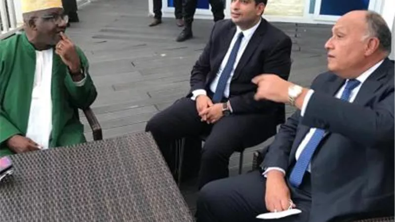 حصار أثيوبيا.. سامح شكري يواصل جولاته في الدول الأفريقية