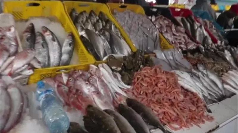 ننشر أسعار الأسماك بالأسواق المحلية اليوم الجمعة