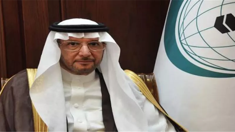 منظمة التعاون الإسلامي تحذر: الإخوان أكثر خطرا من داعش