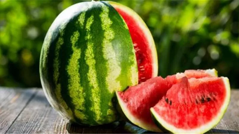 بالفيديو.. مواطن مصري يهدد غراب بالسجن بسبب البطيخ