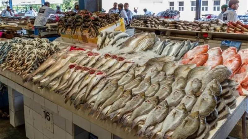 ننشر أسعار الأسماك بالأسواق المحلية