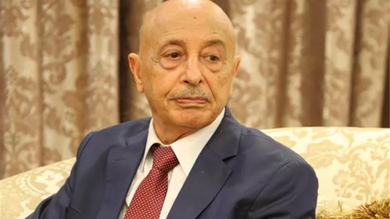 رئيس مجلس النواب الليبي : سنطلب من مصر التدخل رسميا في هذه الحالة
