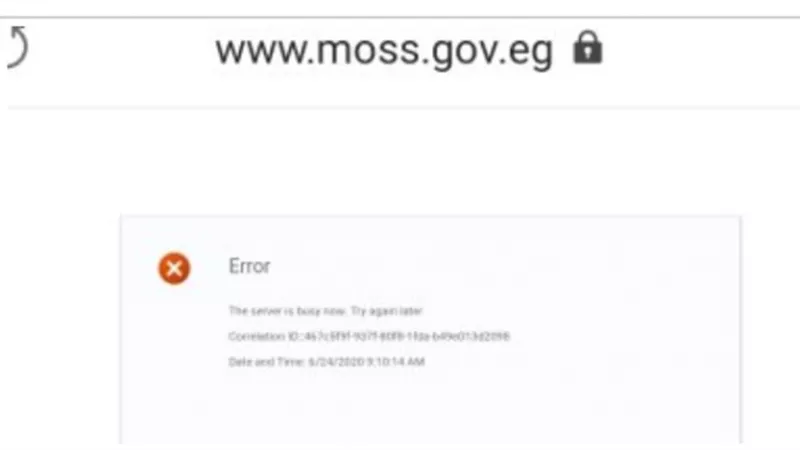 في أول أيام الاستعلام عن العلاوات الخمس.. العطل يهاجم موقع هيئة التأمينات الاجتماعية