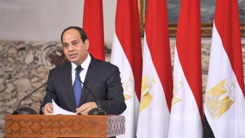 المسمارى يكشف مؤامرة تركيا للتغلغل فى منطقة القرن الأفريقى