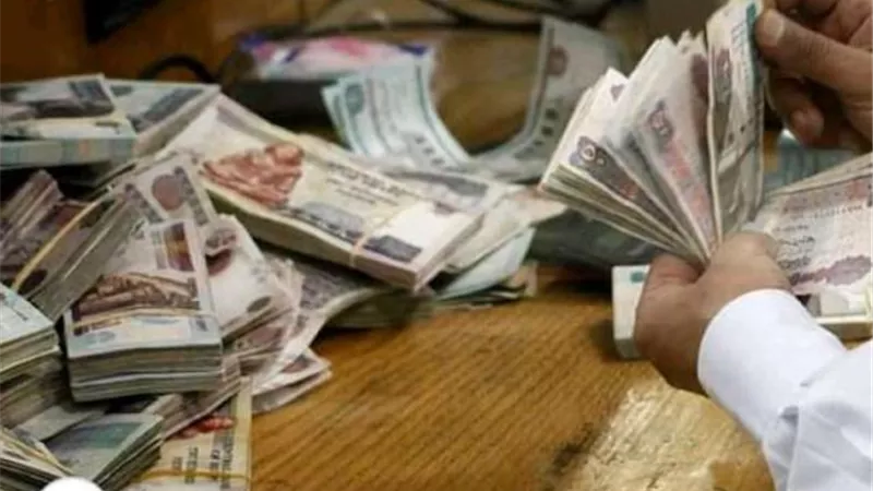 ننشر ”رابط ”  موقع صرف العلاوات الخمسة.. وأفضل توقيت للدخول عليه