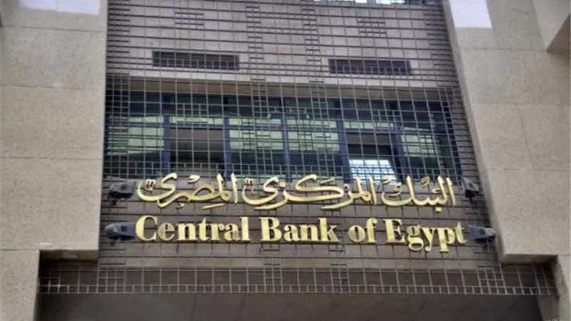 البنك المركزى: مصر تتسلم الشريحة الأولى من قرض صندوق النقد الجديد خلال أيام