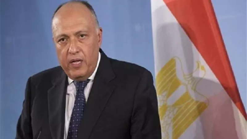 الصين تشيد بالدور الذي تلعبه مصر على الساحتين الدولية والإقليمية