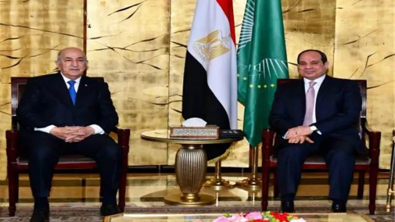 الرئاسة تؤكد التوافق المصري الجزائرى لدعم الاستقرار في تونس