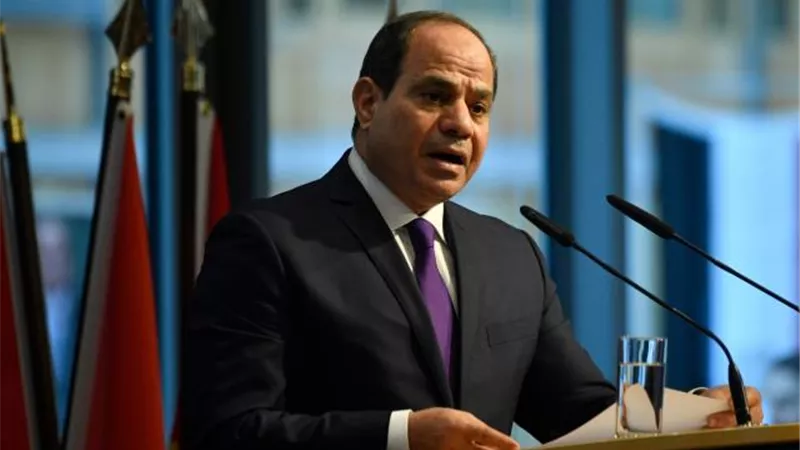 الرئيس السيسى 