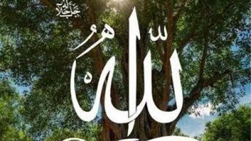 ماهي السورة التي تشفع للمسلم  ويغفرله؟