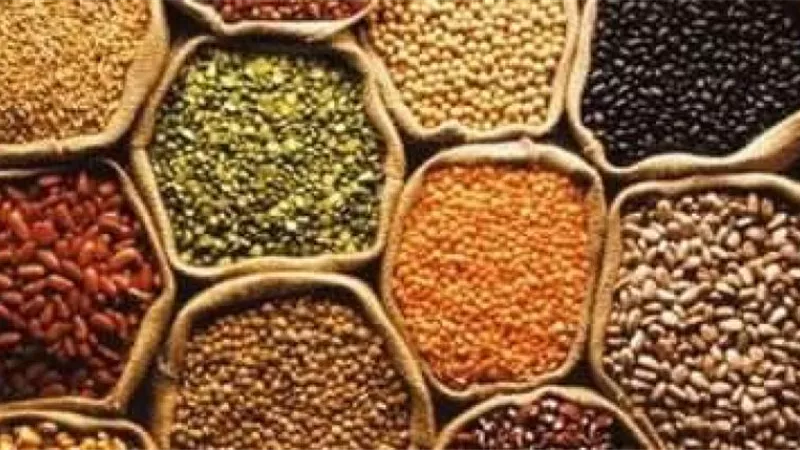 أسعار البقوليات في مصر اليوم الثلاثاء 9 يوليو 2024
