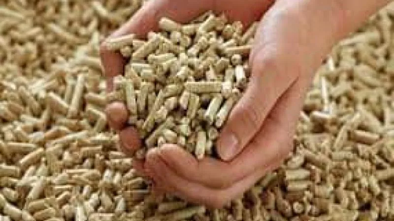 بكام النهاردة .. ننشر أسعار الأعلاف اليوم الأربعاء 10 يوليو 2024