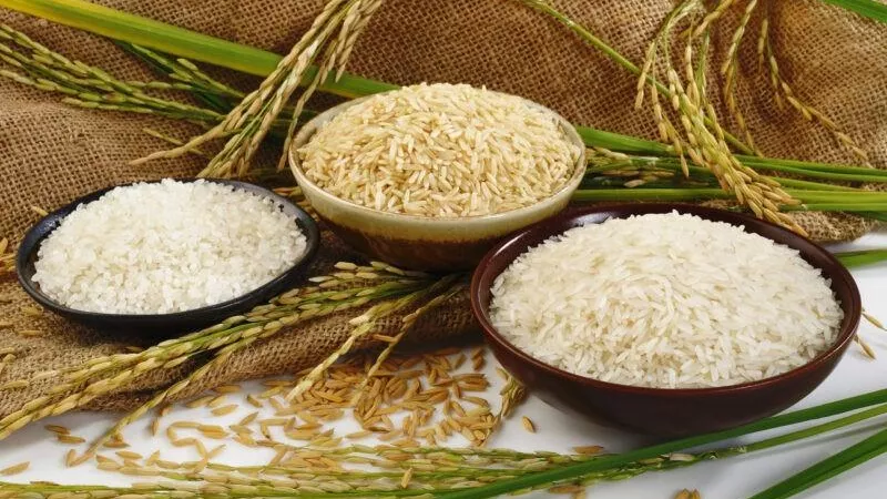 سعر الأرز الشعير اليوم الجمعة.. خلال العطلة