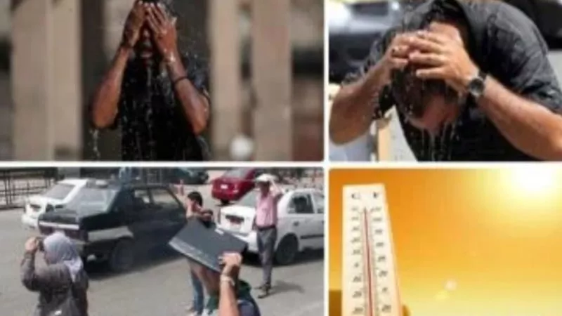 تعرف على توقعات الطقس ليوم الأحد 14 يوليو 2024