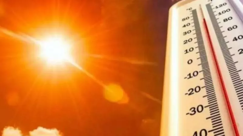 حالة الطقس غدًا الاثنين 15-7-2024.. موجة حارة جديدة تضرب البلاد خلال ساعات