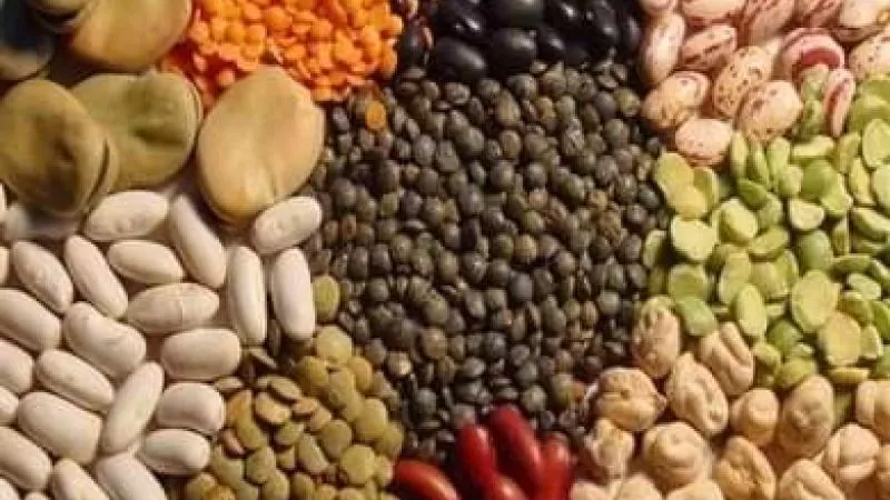 أسعار البقوليات في الأسواق اليوم الأربعاء 10 يوليو 2024