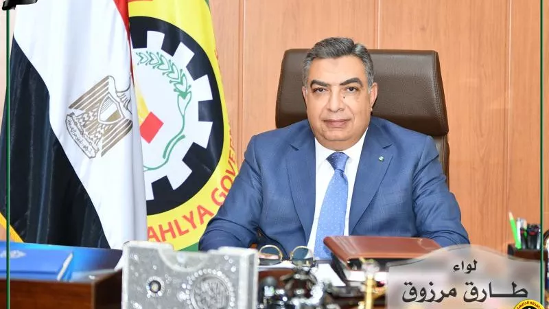 محافظة الدقهلية.. دعم وزارة التضامن الاجتماعي للأسر الأولى بالرعاية وصرف دفعة من قروض شباب الخريجين