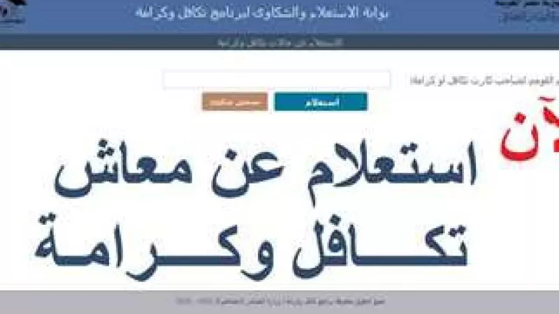 وزارة التضامن الاجتماعي.. خطوات الاستعلام عن أسماء المستفيدين الجدد في تكافل وكرامة