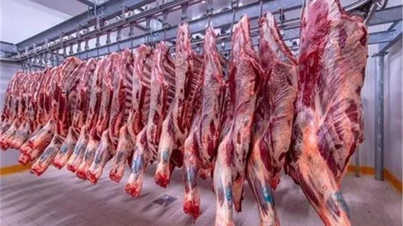 أسعار اللحوم اليوم الثلاثاء 10-9-2024 في محلات الجزارة