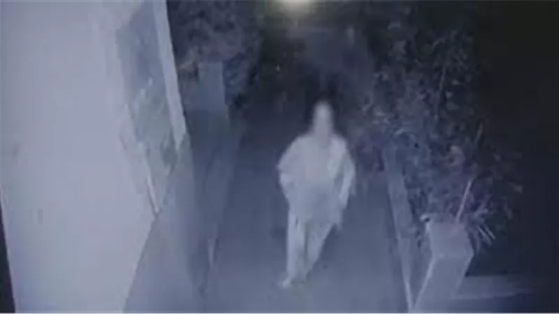 بعد تداول مواقع التواصل له ..قوات الأمن تبدأ فحص فيديو لـ اعتداء شخص على سيدة في السويس 