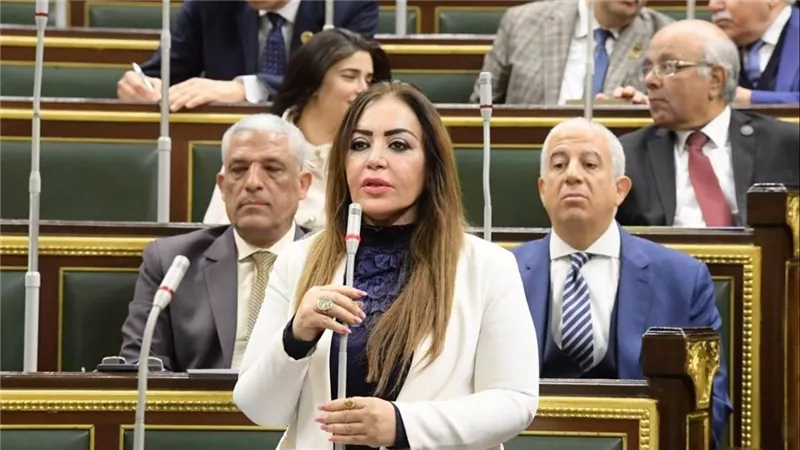 برلمانية : نتيجة الثانوية العامة 2024 حملت العديد من المفاجأت .. والتخوف من التنسيق لا أساس له