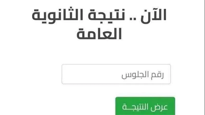 بالخطوات.. اعرف نتيجة الثانوية العامة 2024 فور ظهورها