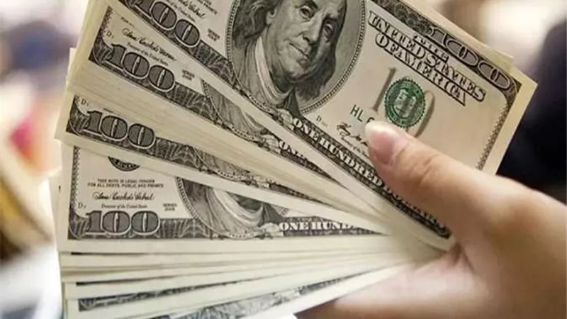 هل يتحرك سعر الدولار اليوم تحديث يومي في البنوك؟