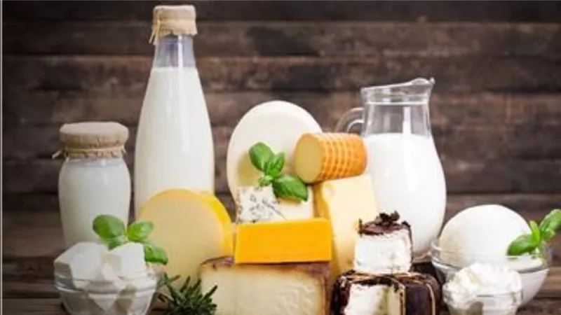 بكام النهاردة .. أسعار الألبان ومنتجاتها اليوم الخميس 8-8-2024 في الأسواق