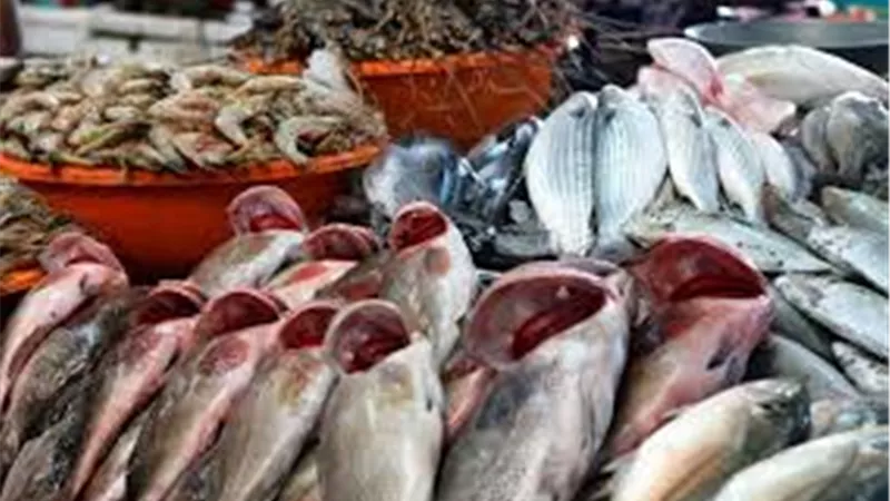 الآن أسعار السمك والجمبري اليوم الاثنين 4 نوفمبر 2024