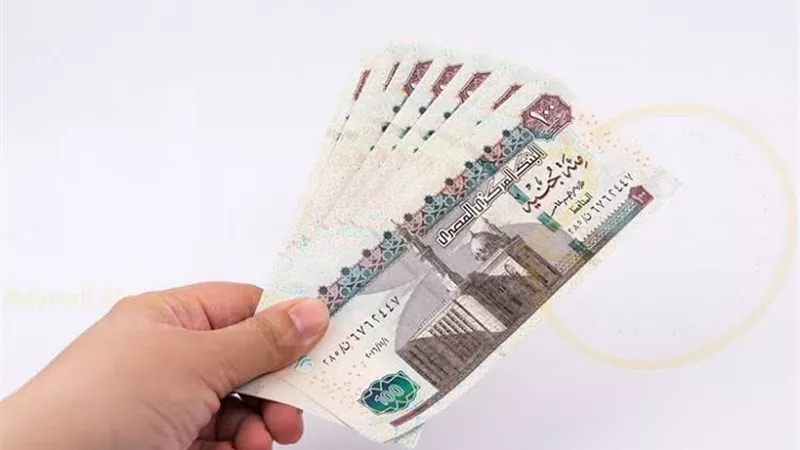 منها الشهادة البلاتينية.. أعلى عائد شهادات في البنوك اليوم