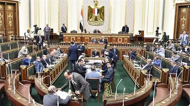 تعليم النواب : كرامة المعلم خط أحمر ووفاة معلم المنيا تتطلب الإحالة للمحاكمة