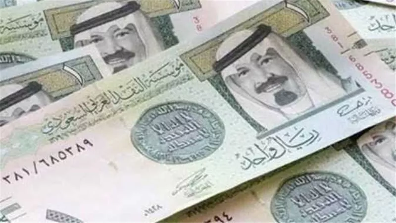 تراجع حذر.. سعر الريال السعودي اليوم مقابل الجنيه المصري والدولار 22-8-2024