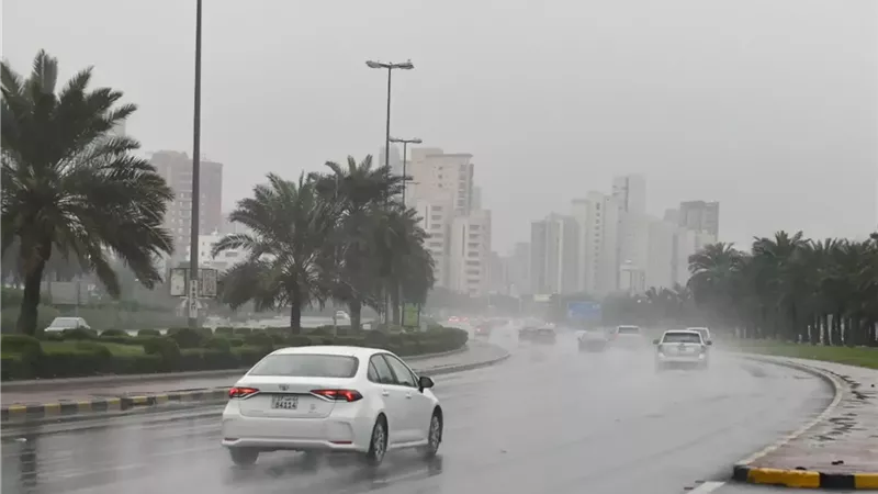شبورة مائية كثيفة.. اعرف حالة الطقس اليوم الجمعة ودرجات الحرارة
