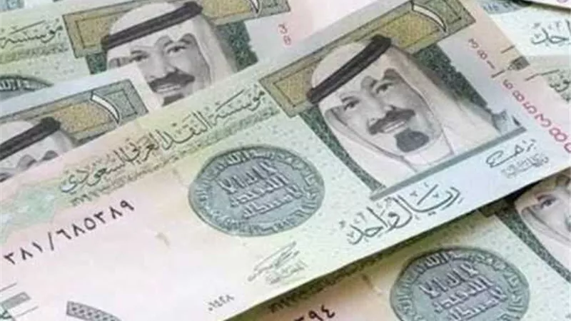 سعر الريال السعودي مقابل الجنيه المصري اليوم الثلاثاء 27 اغسطس 2024