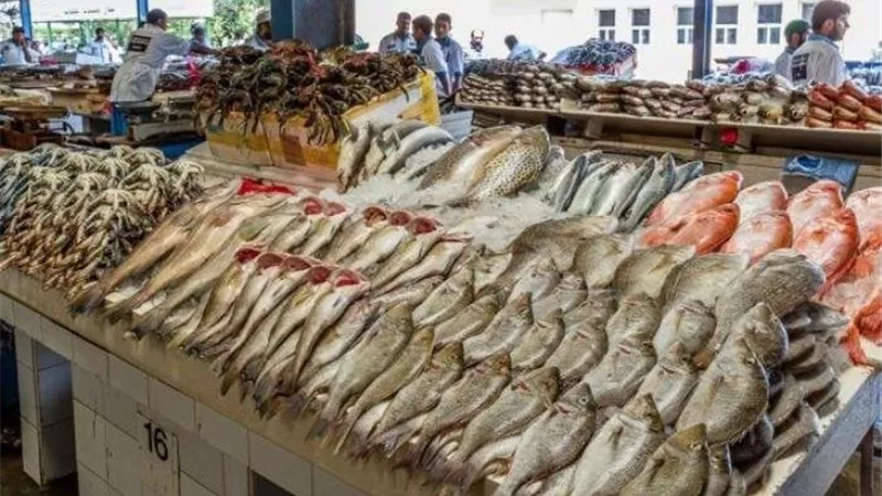 أسعار السمك والجمبري اليوم السبت 7-9-2024 في سوق العبور 