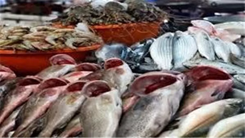  الطازه بكام؟.. أسعار السمك والجمبري اليوم الأحد 3-11-2024 في سوق العبور