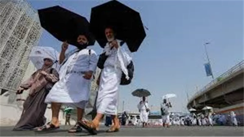 بقرار وزاري.. 36 شركة سياحية تدفع ضريبة وفيات الحجاج المصريين بالأراضي المقدسة