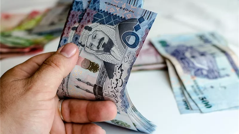 كم سعر الريال السعودي اليوم مقابل الجنيه المصري الخميس 29 أغسطس 2024