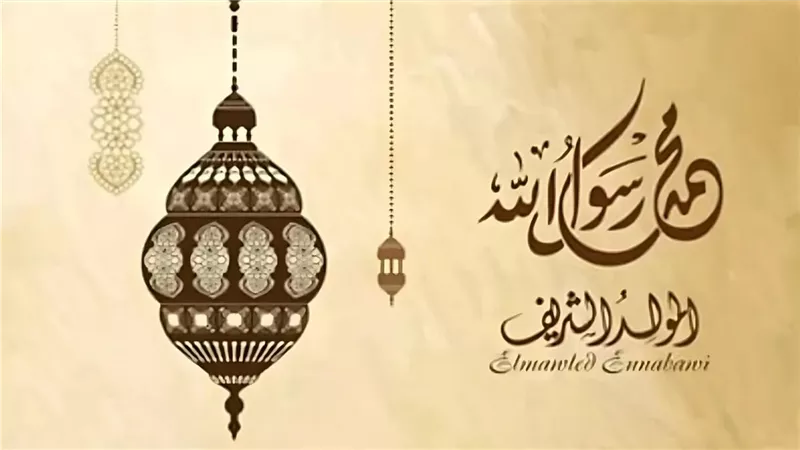 بشرة خير.. تفاصيل منحة المولد النبوي الشريف 2024