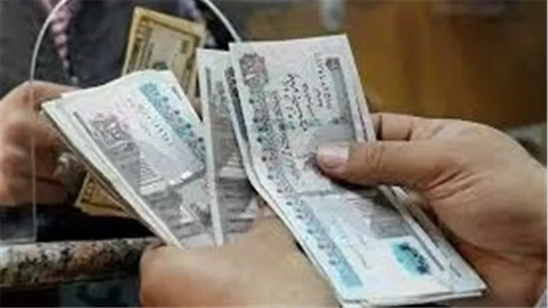 قبل إجتماع البنك المركزي..أسعار شهادات استثمار البنك الأهلي وفوائدها 2024